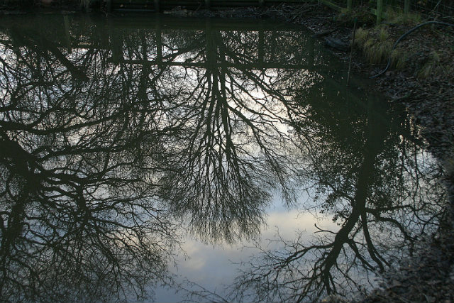 WINTER REFLECTIONS
